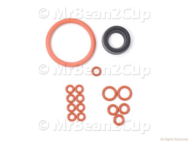 Picture of Gasket Kit (Gaggia Titanium,Saeco Incanto etc)