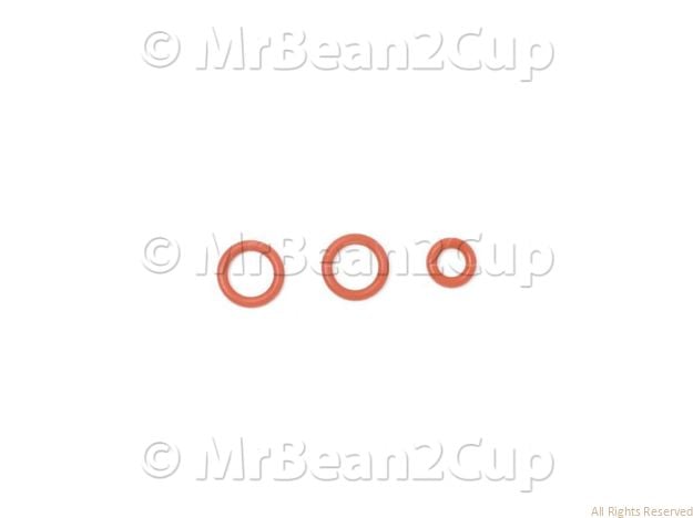 Picture of Gaggia Saeco Boiler Valve And Piston Gasket Kit (Gaggia Titanium etc)