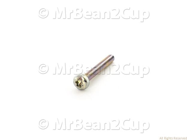 Picture of Gaggia Brera Screw TCB Torx 10 2,9X6,5 Sheet ZN-B