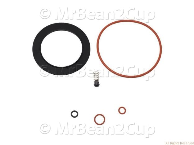 Picture of Gaggia Classic V2 -Saeco Nina Gasket kit