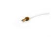 Picture of Delonghi Tube Ptfe L=180 Nut 1Bushe