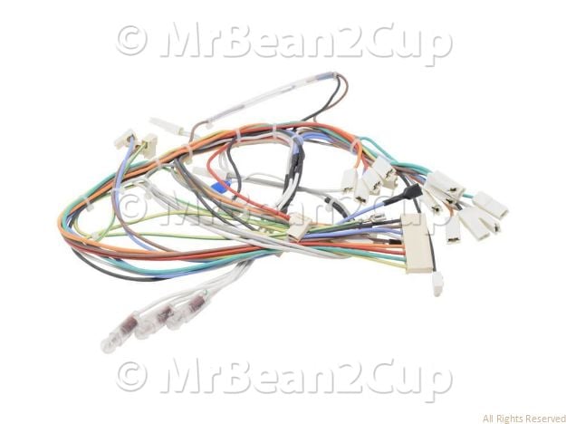 Picture of Gaggia Classic V3 2019 Wiring Rev.2 S.O. 230V Assy