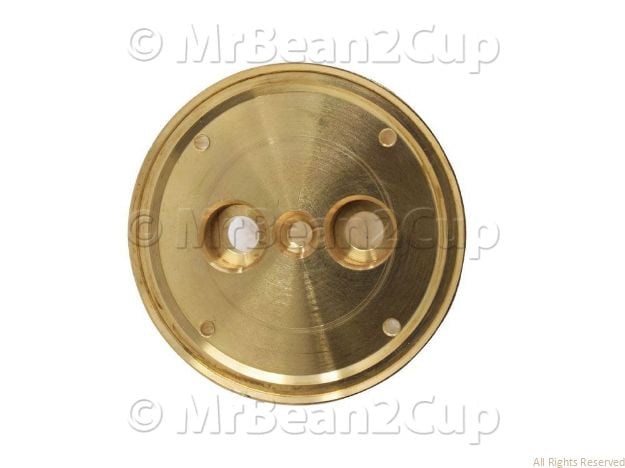 Picture of Gaggia Manual Shower Disc Holding Plate - Brass - GRADE B - Minor Scratches and Cuts