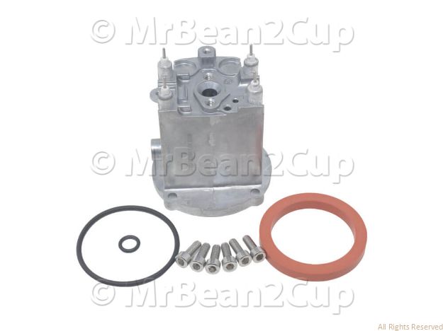 Picture of Gaggia UNCOATED Boiler Assembly 120/220/240 V with Gaskets and Screws (NEW Shape)